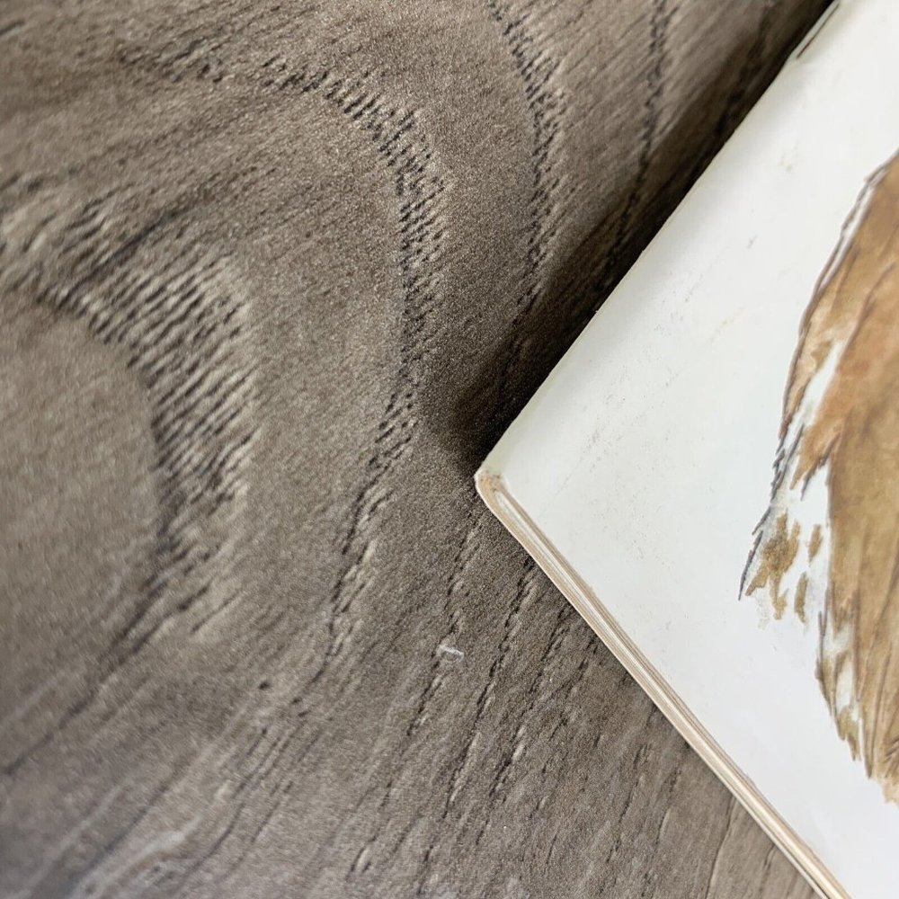 1983 Texas VS. Texas Tech College Football Program - Picture 5 of 8